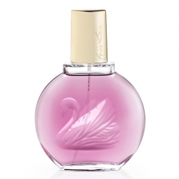 GloriaVanderbiltVanderbiltMinuitNYC