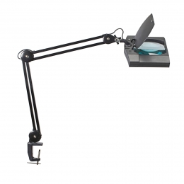 LEDloeplampMAULvitrumzwartklemmetaal