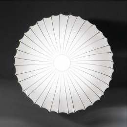 AxoLightAxolightMusewandlampinwit