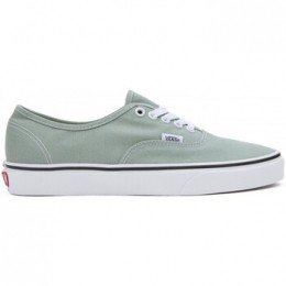 SkateschoenenVansAuthentic