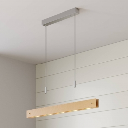 LucandeHoutenLEDhanglampKarinjametdimmernatuur