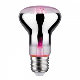 PaulmannPlantenlampE27R6365W