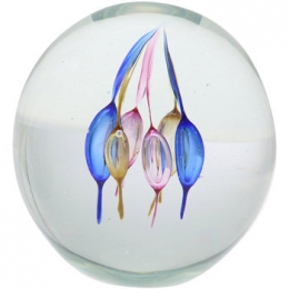 BeeldjesSignesGrimaltPisapapeles-Vissen