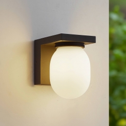 LucandebuitenwandlampOvaaliglasdonkergrijsIP65