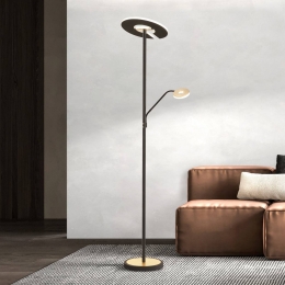 FISCHERHONSELLEDvloerlampDentzwartgoudblad180cmCCT2-lamps