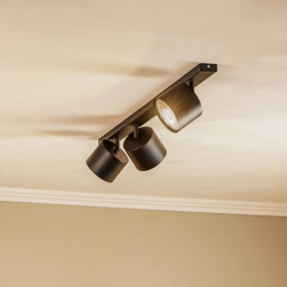 ALDEXPlafondlamp10473-lampszwart