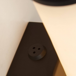 SearchlightLEDbadkamerwandlampWaleszwartgemarmerd35cmstaalhars