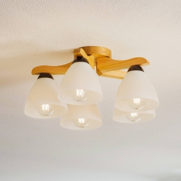 LamkurPlafondlampHaroeikenwit5-lamps