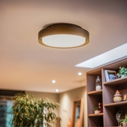 BRUMBERG60107LEDplafondlamprond