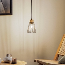 EnvostarDorvihanglampeikengeolied1-lamp