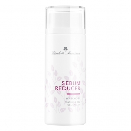 CharlotteMeentzenSebumReducerWaschgel