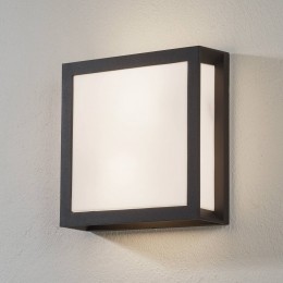 ORIONBuitenwandlampHenryantracietIP44