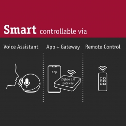 PaulmannCepheischakel-controllerZigBee30