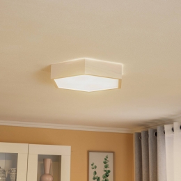 EnvostarplafondlampHagenwit