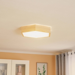 EnvostarplafondlampHagengrenennaturel