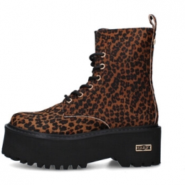 EnkellaarzenCultCLW346003