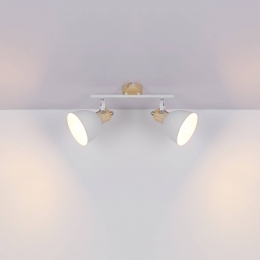 GloboPlafondlampWihovanmetaalwithoutoptiek2-lamps