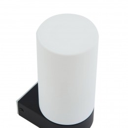 LucandeBasolobadkamerwandlampzwarthoogte172cmglas