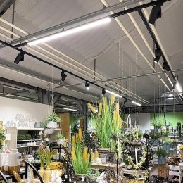 Deko-LightLEDtracklampLINEARPROzwart93060cm3-circuitDALI