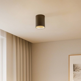 NowodvorskiLightingPlafondlampEyeTonezwartzilver