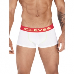 BoxersCleverLatinBoxerTrend