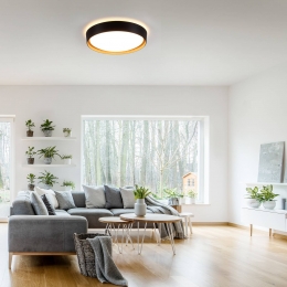 JUSTLIGHTGmbHPlafondlampEmilia3-stapsdimbaarzwart