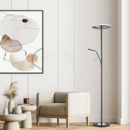 FISCHERHONSELLEDvloerlampDentzwart180cmCCT2-lamps