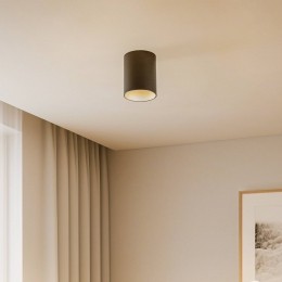 NowodvorskiLightingPlafondlampEyeTonezwartzilver