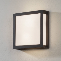 ORIONBuitenwandlampHenryantracietIP44