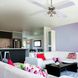 WestinghousePrincessEuroventilatorzilvergraf