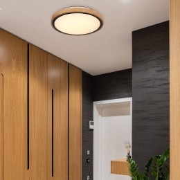 GloboBrunoLEDplafondlampmethoutenframeCCT30cm