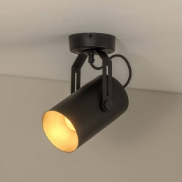 TEMARLIGHTINGPlafondspotReflectorzwart1-lamp