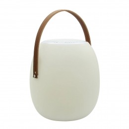 MegatrondraagbareluidsprekerSpikametRGB-W