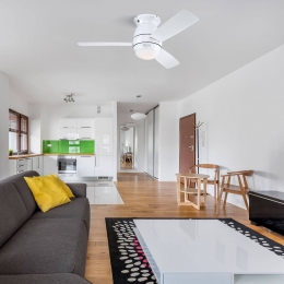 WestinghouseHalleyventilatorbladenwitesdoorn