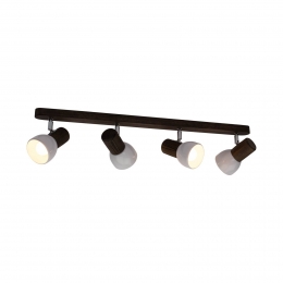 Envostarplafondspot4-lampsgrenennotenhout