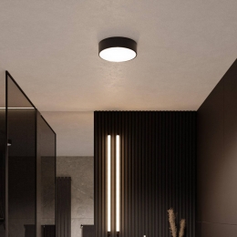 TEMARLIGHTINGPlafondlampCleo20cmIP54zwartmetaalE27