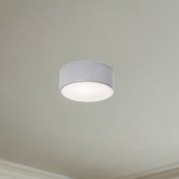 TEMARLIGHTINGPlafondlampCleo20cmIP54grijsmetaalE27