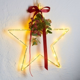 SiriusLEDdecoratievesterLivaStargoud30cm