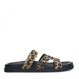 Leopardslippersmetbandje