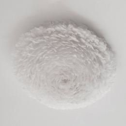 UMAGEEosUplargewandlampwit