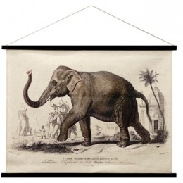 SchilderijenSignesGrimaltOlifantOprolbaarCanvas