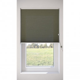 FenstrDubbelPlissgordijnMaudGroenTransparant