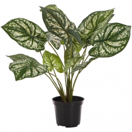 KunstplantInPotDiefenbachiaGroen