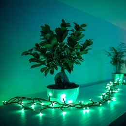 TwinklyRGBlichtkettingenzwart250lampjes20m