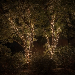 TwinklyRGBWlichtkettingen250fl20mtransparant