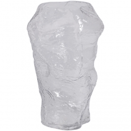 VaasCagnolaTransparant