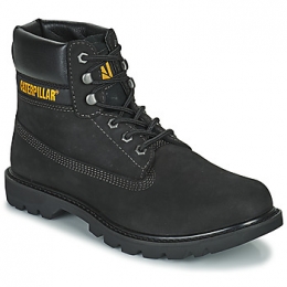 LaarzenCaterpillarCOLORADO20