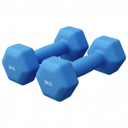 VinylHalterset2x2kg-Neopreen-Antislip-Ergonomisch-Blauw-GorillaSports