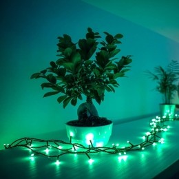 TwinklyRGBlichtkettingenzwart250lampjes20m