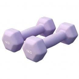 VinylHalterset2x1kg-Neopreen-Antislip-Ergonomisch-Paars-GorillaSports